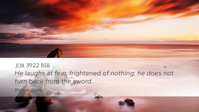 Job 39:22 BSB Desktop Wallpaper - He laughs at fear, frightened of nothing; he does - Desktop Bible Verse Wallpaper