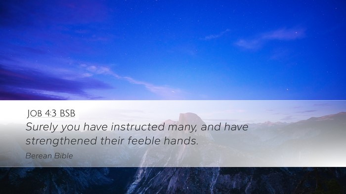 Job 4:3 BSB Bible Verse Image