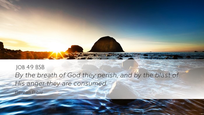 Job 4:9 BSB Bible Verse Image