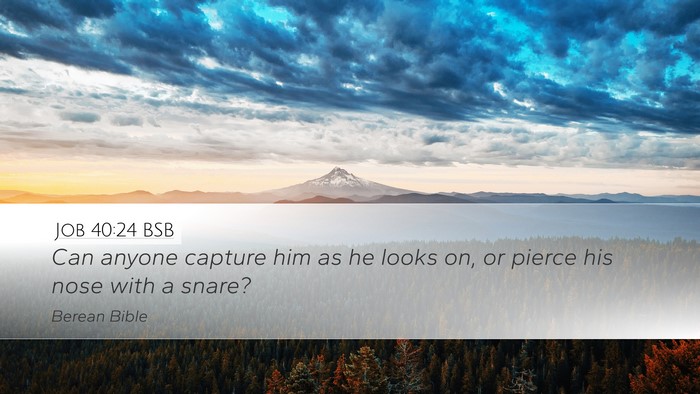Job 40:24 BSB Desktop Wallpaper - Can anyone capture him as he looks on, or pierce - Desktop Bible Verse Wallpaper