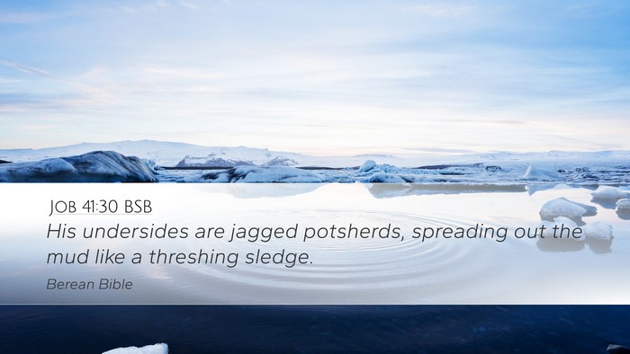 Job 41:30 BSB Desktop Wallpaper - His undersides are jagged potsherds, spreading - Desktop Bible Verse Wallpaper