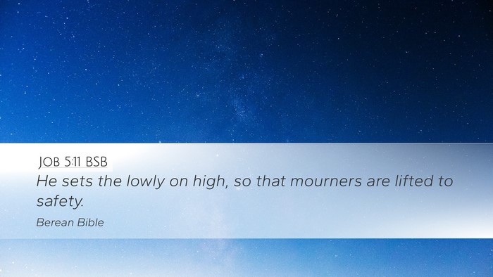 Job 5:11 BSB Bible Verse Image