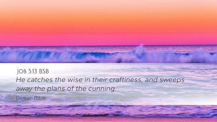 Job 5:13 BSB Bible Verse Image
