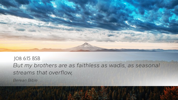 Job 6:15 BSB Bible Verse Image