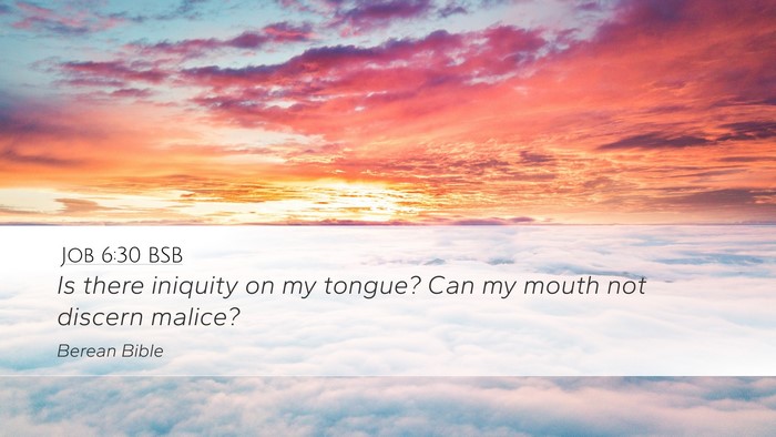 Job 6:30 BSB Bible Verse Image