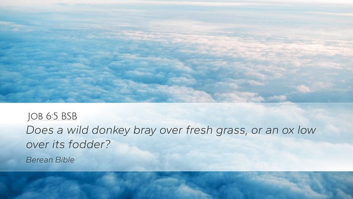 Job 6:5 BSB Bible Verse Image
