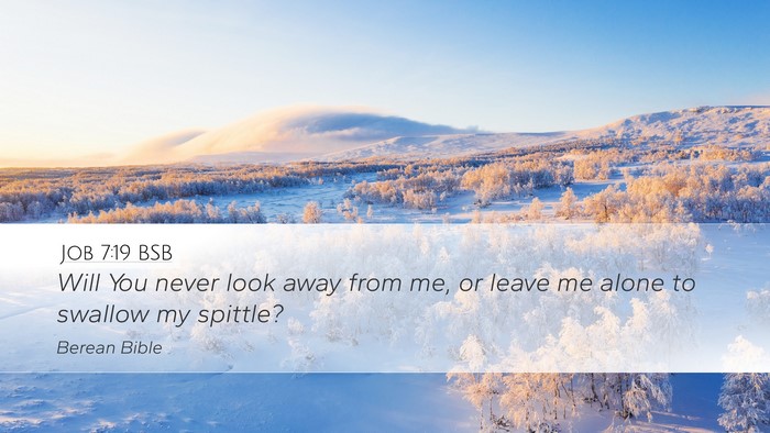 Job 7:19 BSB Bible Verse Image