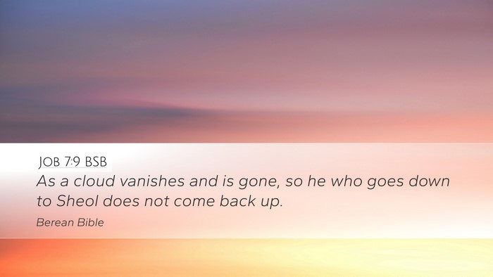 Job 7:9 BSB Bible Verse Image