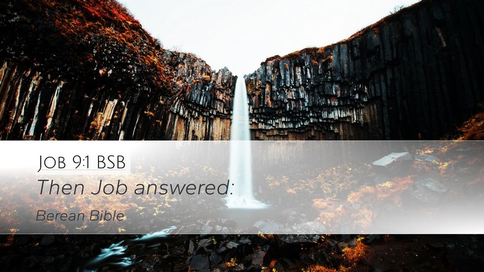 Job 9:1 BSB Desktop Wallpaper - Then Job - Desktop Bible Verse Wallpaper