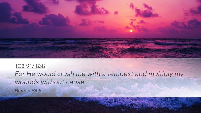 Job 9:17 BSB Bible Verse Image