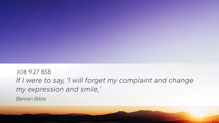 Job 9:27 BSB Bible Verse Image