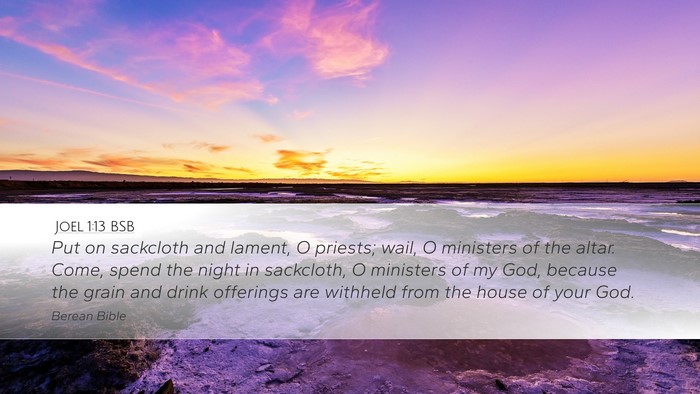 Joel 1:13 BSB Bible Verse Image