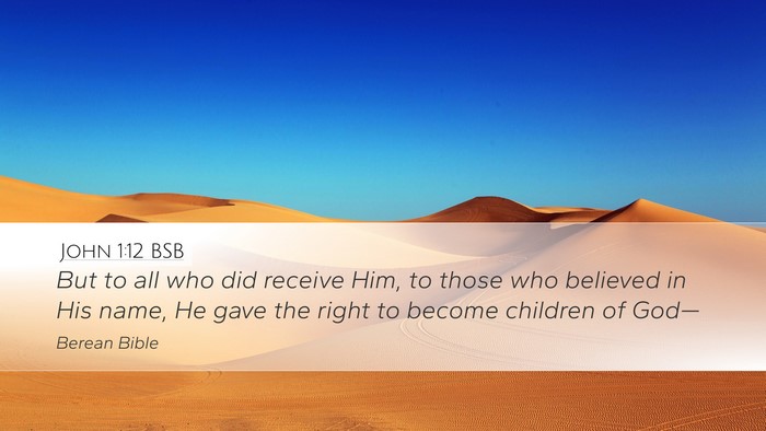 John 1:12 BSB Bible Verse Image