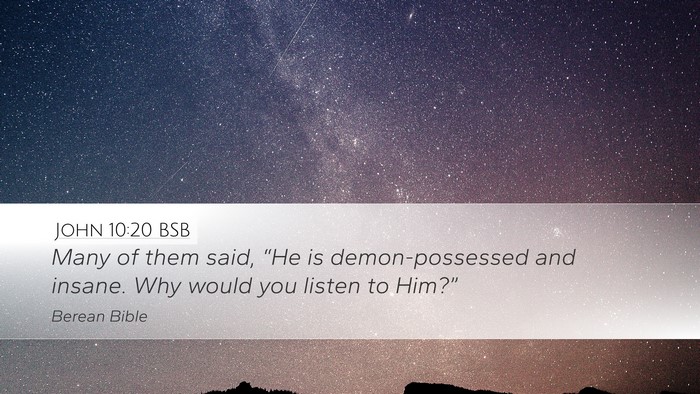 John 10:20 BSB Bible Verse Image