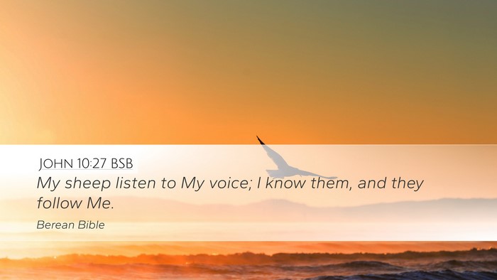 John 10:27 BSB Bible Verse Image