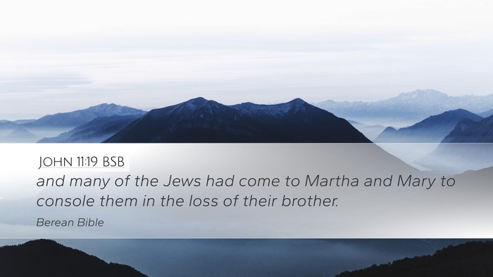 John 11:19 BSB Bible Verse Image