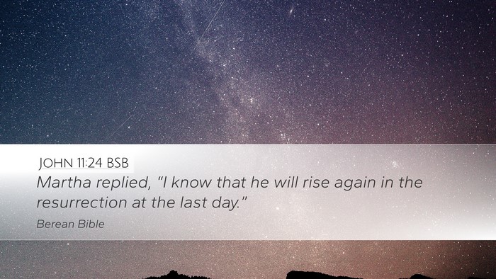 John 11:24 BSB Bible Verse Image