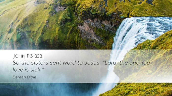 John 11:3 BSB Bible Verse Image