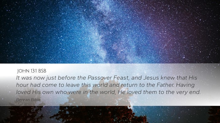 John 13:1 BSB Bible Verse Image