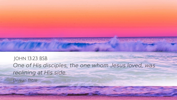 John 13:23 BSB Bible Verse Image