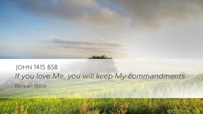 John 14:15 BSB Bible Verse Image