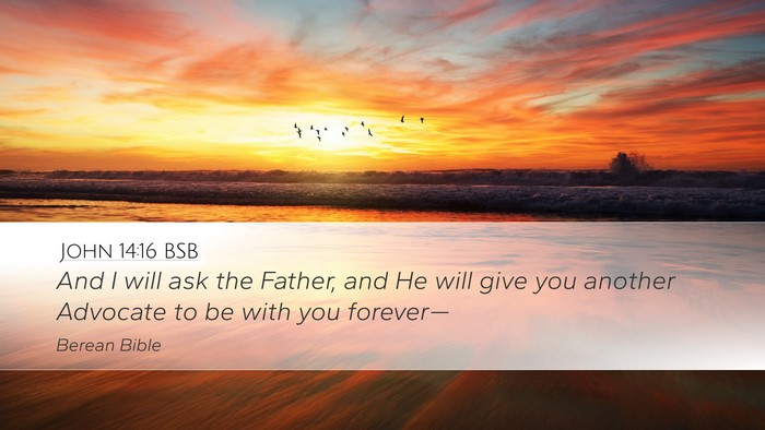 John 14:16 BSB Bible Verse Image