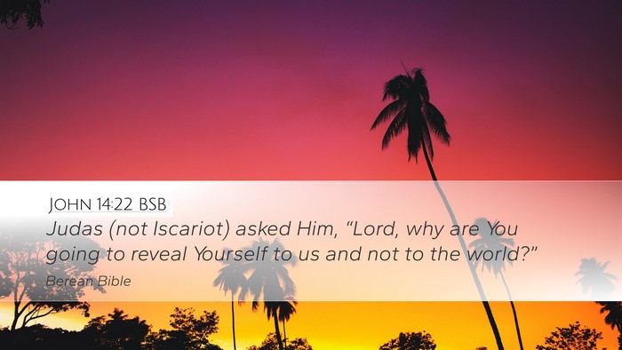 John 14:22 BSB Bible Verse Image