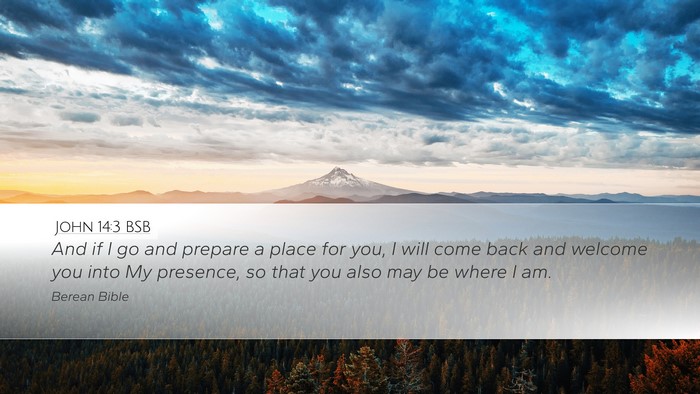 John 14:3 BSB Bible Verse Image