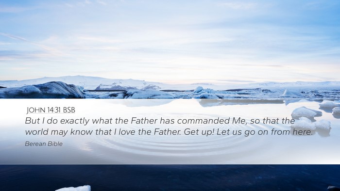 John 14:31 BSB Bible Verse Image