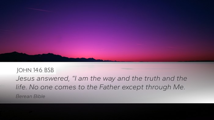 John 14:6 BSB Bible Verse Image
