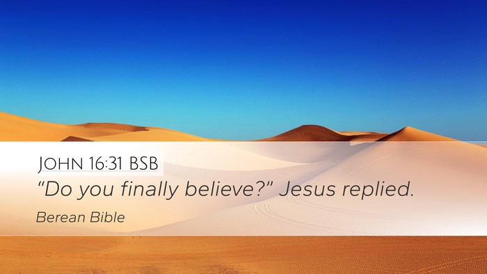 John 16:31 BSB Desktop Wallpaper - “Do you finally believe?” Jesus - Desktop Bible Verse Wallpaper