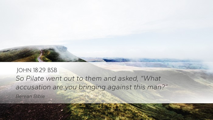 John 18:29 BSB Bible Verse Image