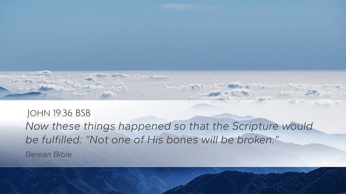 John 19:36 BSB Bible Verse Image