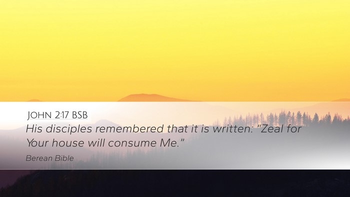 John 2:17 BSB Bible Verse Image
