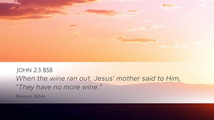 John 2:3 BSB Bible Verse Image