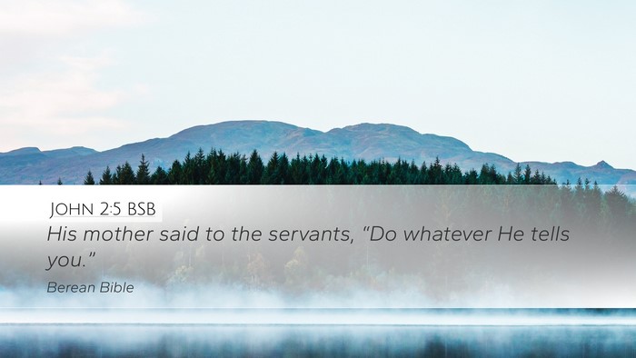 John 2:5 BSB Bible Verse Image