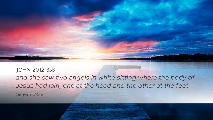 John 20:12 BSB Bible Verse Image