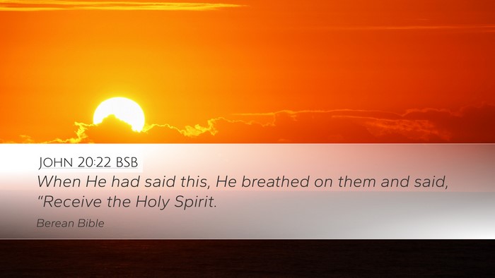 John 20:22 BSB Bible Verse Image