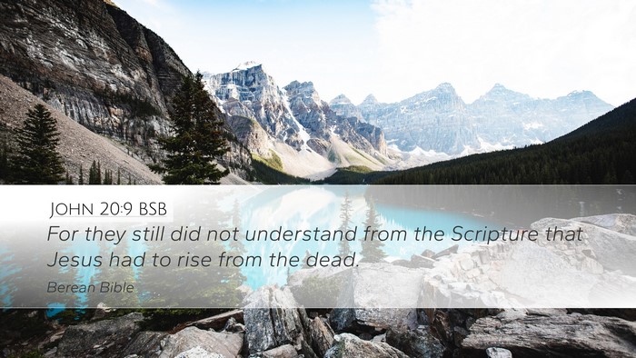 John 20:9 BSB Bible Verse Image