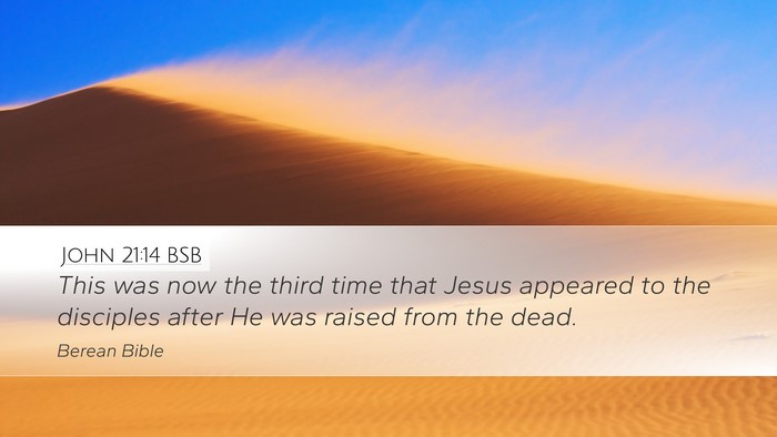 John 21:14 BSB Bible Verse Image