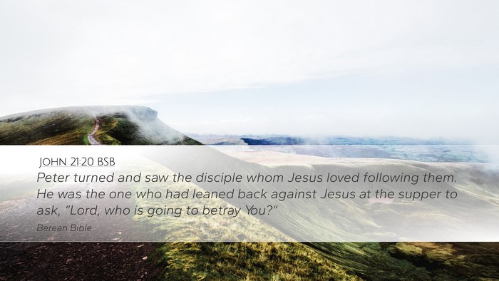 John 21:20 BSB Bible Verse Image
