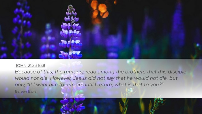John 21:23 BSB Bible Verse Image