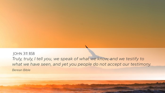 John 3:11 BSB Desktop Wallpaper - Truly, truly, I tell you, we speak of what we - Desktop Bible Verse Wallpaper