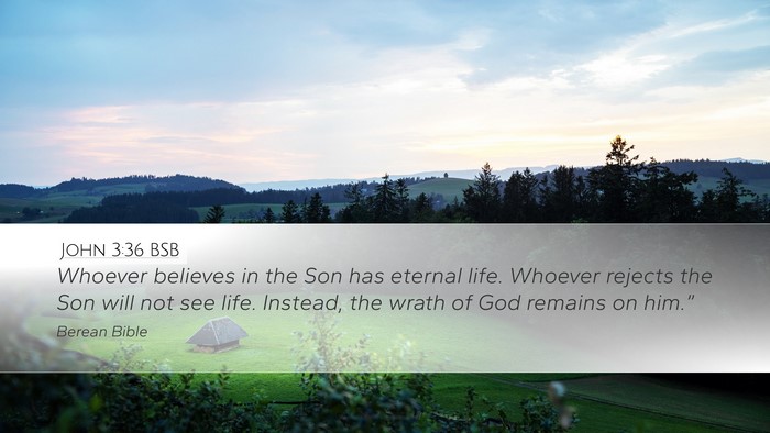 John 3:36 BSB Bible Verse Image