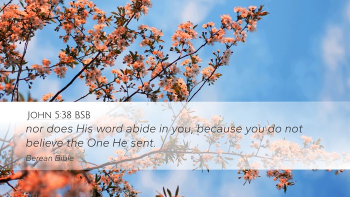 John 5:38 BSB Bible Verse Image
