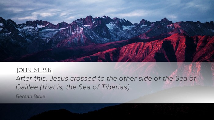 John 6:1 BSB Bible Verse Image