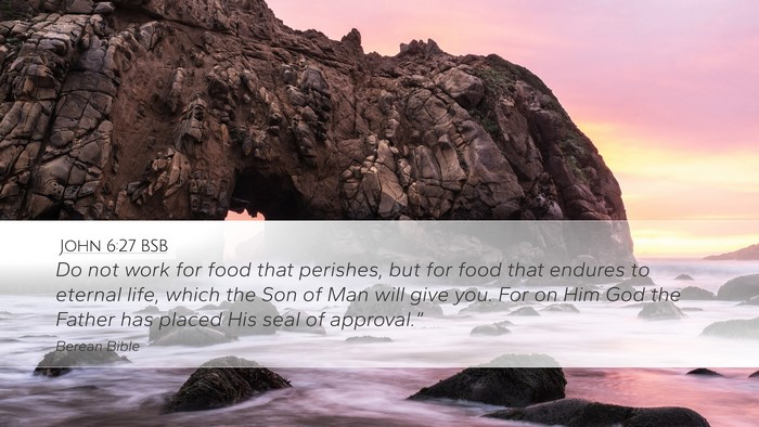 John 6:27 BSB Bible Verse Image
