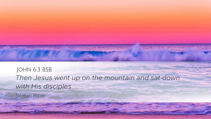 John 6:3 BSB Desktop Wallpaper - Then Jesus went up on the mountain and sat down - Desktop Bible Verse Wallpaper