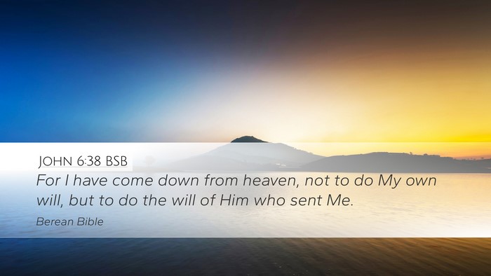 John 6:38 BSB Bible Verse Image