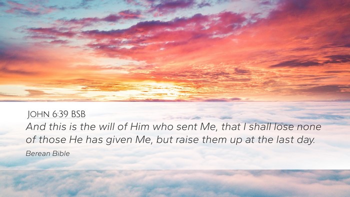 John 6:39 BSB Bible Verse Image